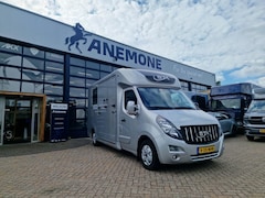 Opel Movano - Occasion paardenwagen STX S3 Pro-Safety hengsten uitvoering, id 15