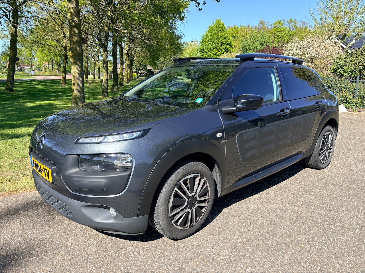 Citroën C4 Cactus - 1.2 VTi Business - AutoWereld.nl
