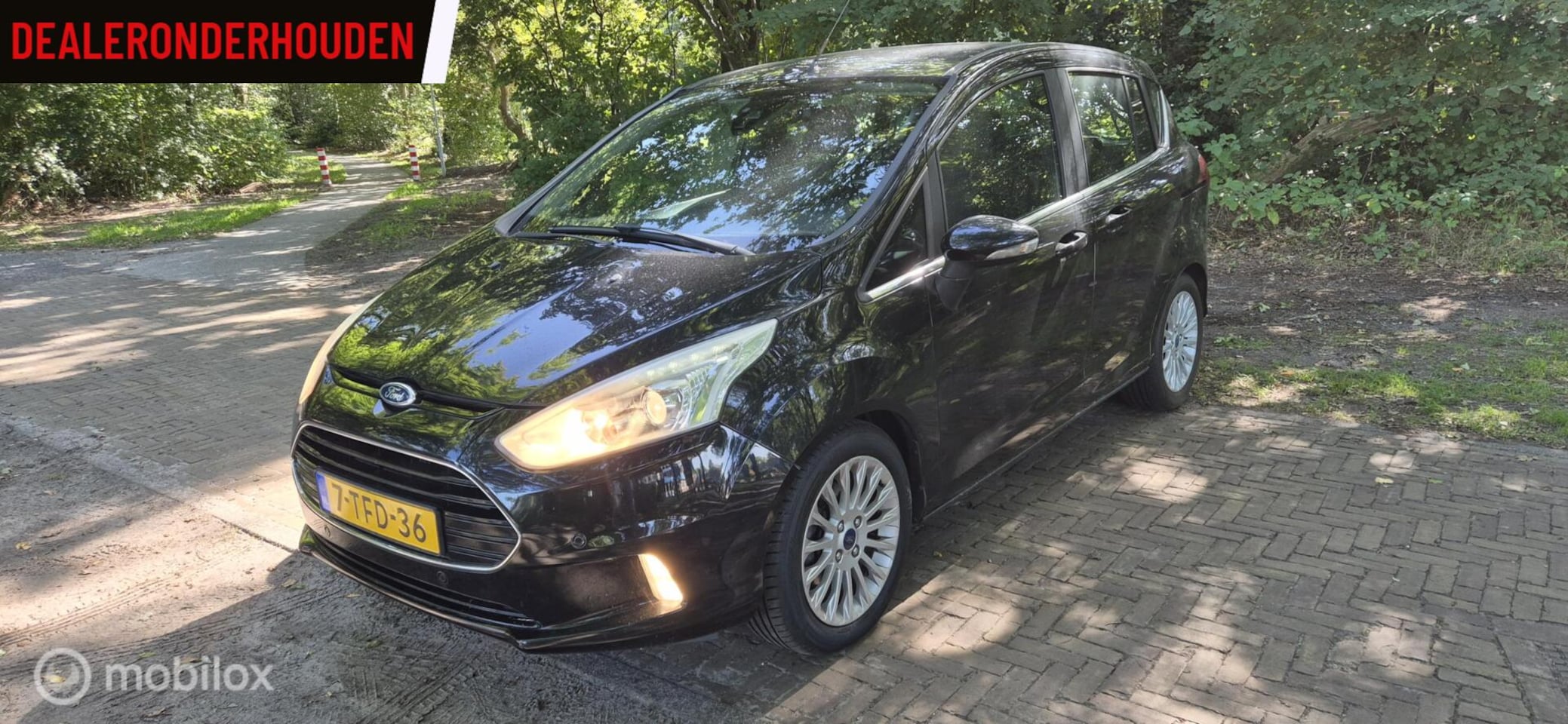 Ford B-Max - 1.0 EcoBoost Titanium 1.0 EcoBoost Titanium - AutoWereld.nl