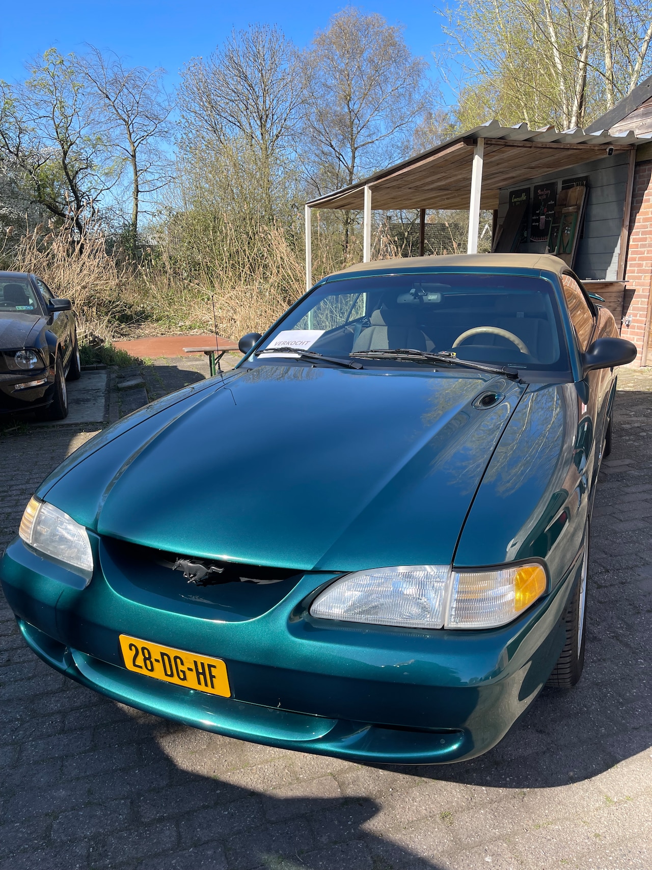 Ford Mustang Convertible - V6 - AutoWereld.nl