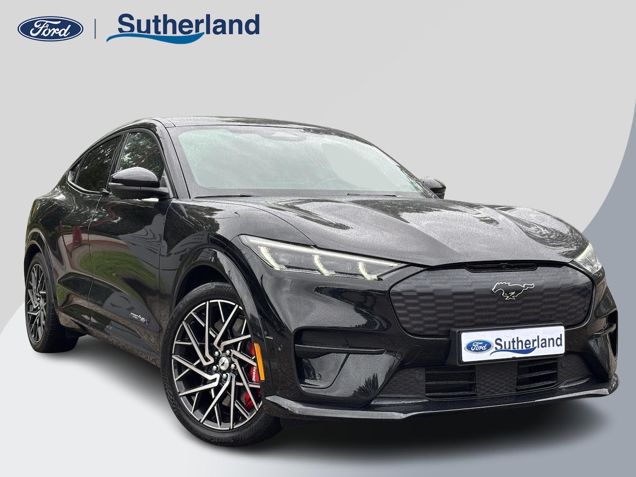 Ford Mustang Mach-E - GT Extended AWD 98 kWh 486pk B&O Audio | Adaptieve Cruise | Memory Seats | 360 graden Came - AutoWereld.nl