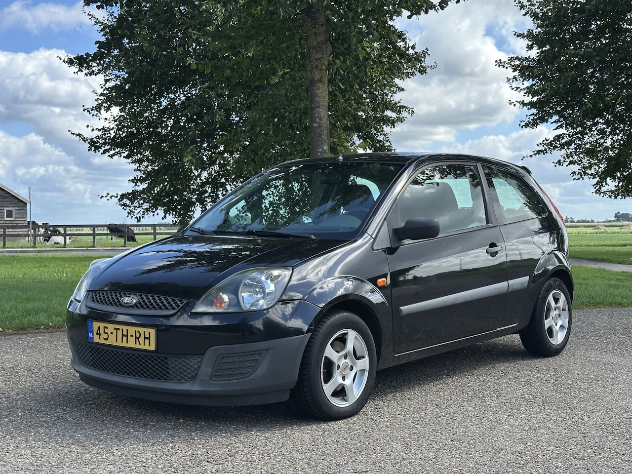 Ford Fiesta - 1.3-8V Champion NAP * Rijdt perfect - AutoWereld.nl