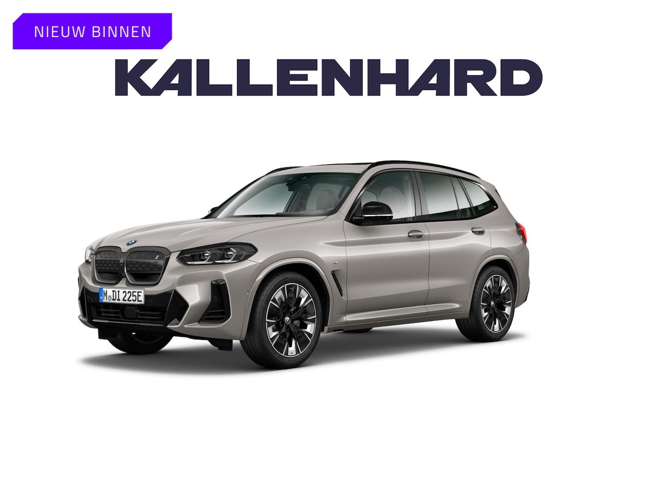 BMW iX3 - High Executive - Trekhaak - Stuurwiel Verwarming - Driving Ass Prof - AutoWereld.nl