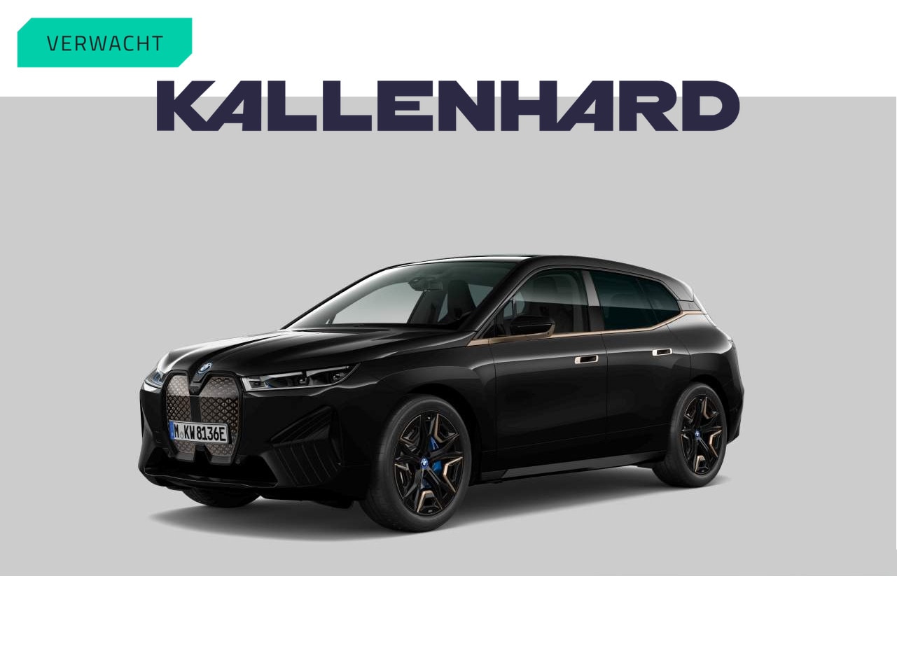 BMW iX - xDrive50 - Pano - Bowers & Wilkins - Driving Ass Prof - Trekhaak - AutoWereld.nl