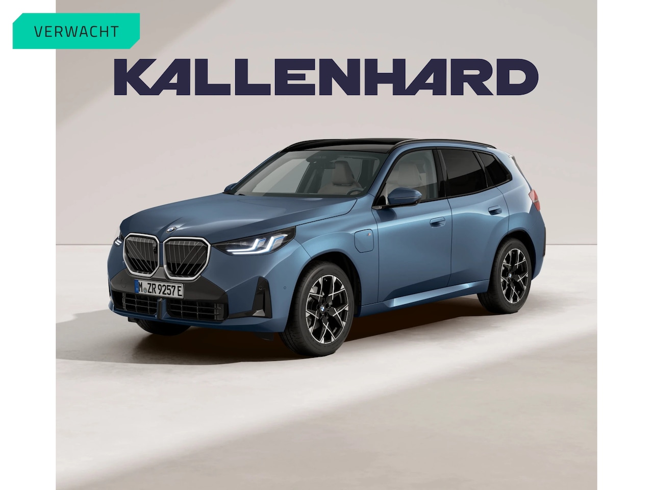 BMW X3 - 30e xDrive - M-Sport - Pano - Driving Ass Prof - Head-up - Trekhaak - AutoWereld.nl