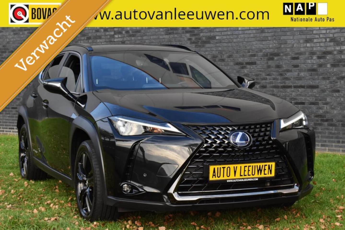 Lexus UX - 250h Midnight Edition ACC/BLIND SPOT/ELEK. A KLEP/ETC.! - AutoWereld.nl