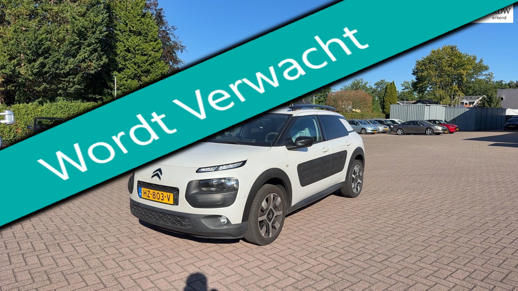 Citroën C4 Cactus - 1.2i 110pk 1e eig. Shine Clima Navi Pano Nieuwe motor! - AutoWereld.nl