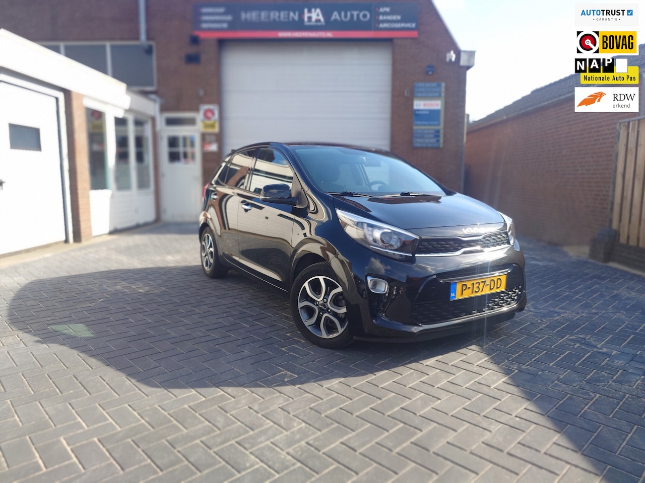Kia Picanto - 1.0 DPI DynamicPlusLine 1.0 DPi DynamicPlusLine, Carplay, 5 Deurs, Navigatie - AutoWereld.nl