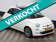 Fiat 500 - 1.0 Hybrid Star Pano Carplay Xenon Navi Cruise