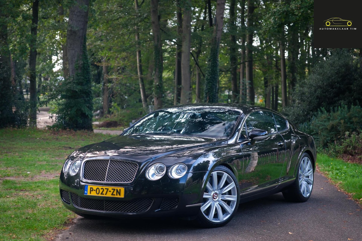 Bentley Continental GT - 6.0 W12 Speed 6.0 W12 Speed - AutoWereld.nl