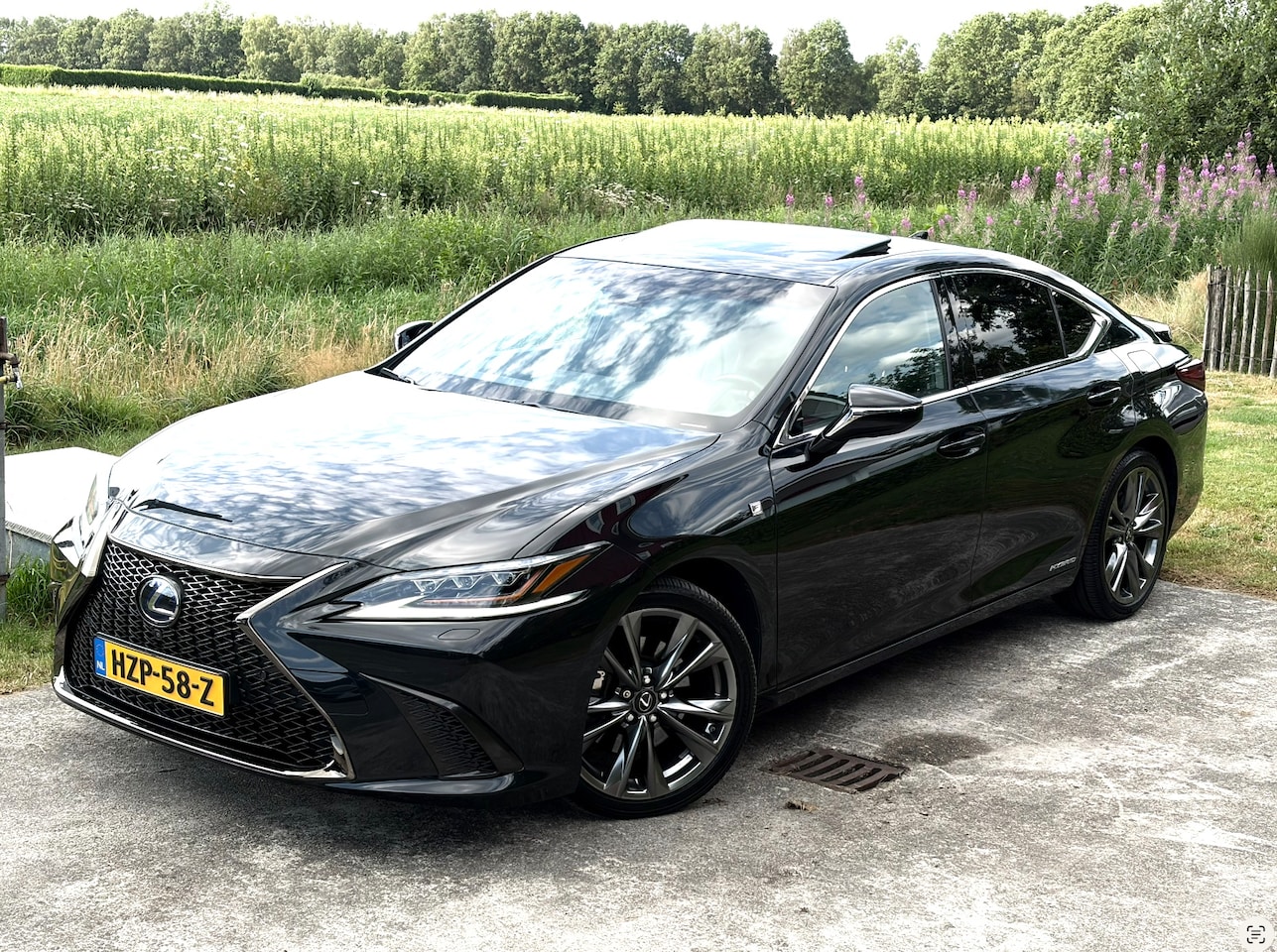 Lexus ES - 300h F Sport Premium F-Sport - AutoWereld.nl