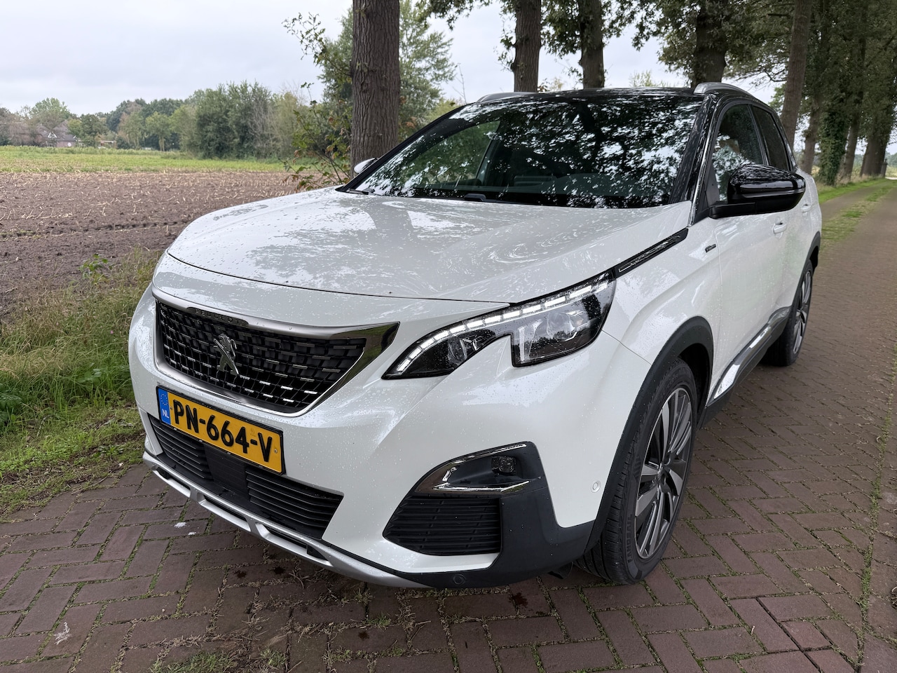 Peugeot 3008 - 1.2 PureTech GT Line - AutoWereld.nl