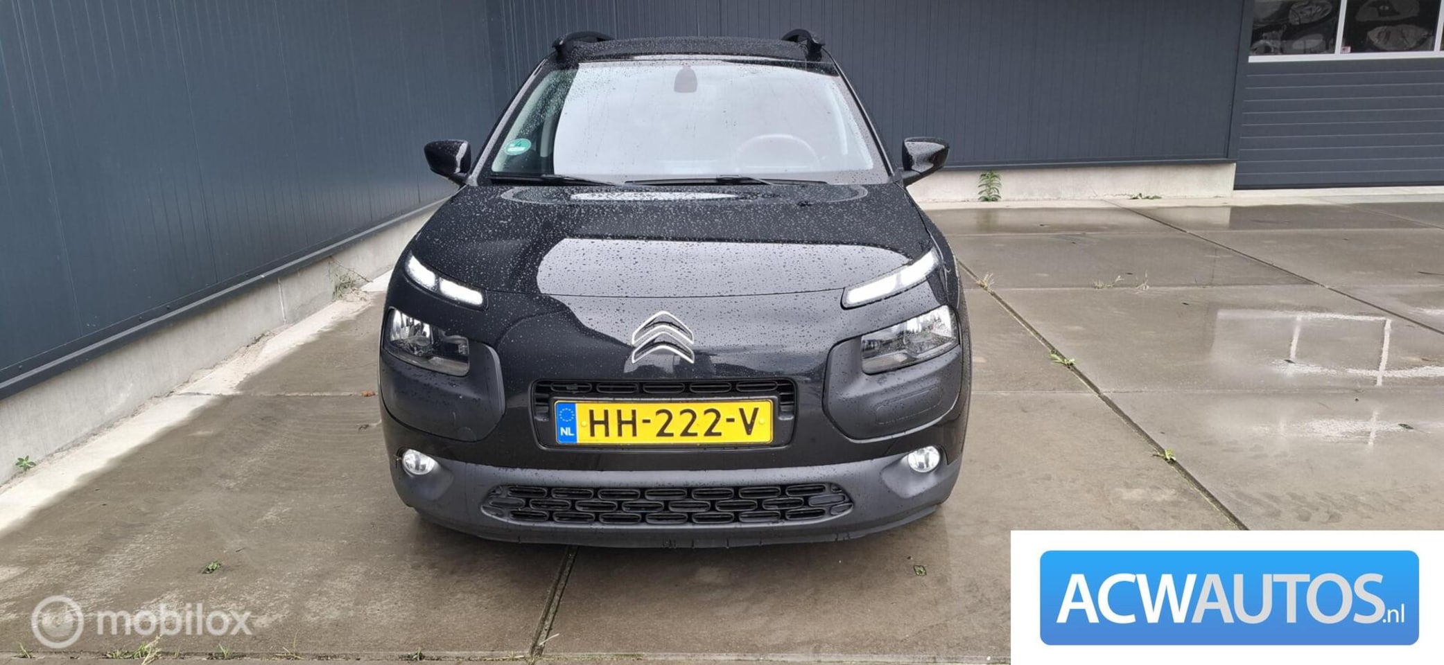 Citroën C4 Cactus - 1.2 PureTech Shine 1.2 PureTech Shine - AutoWereld.nl