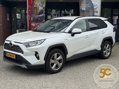 Toyota RAV4 - 2.5 Hybrid First Edition TREKHAAK BLIND-SPOT PARK-SENSOREN 360° CAMERA NAVI NL-AUTO