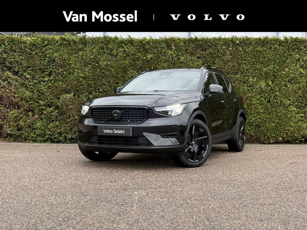 Volvo XC40 - B4 Plus Black Edition | Pano dak | 360 camera | Trekhaak | Bliss | Keyless | Elektrische s - AutoWereld.nl