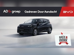BYD Dolphin Surf - Active 30 kWh | Achteruitrijcamera | Adaptieve cruise control | Apple Carplay