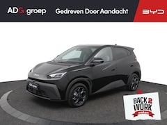BYD Dolphin Surf - Boost 43 kWh | 322 KM Range | Elektrisch verstelbare voorstoelen ​| Blade Battery| 16″ lic