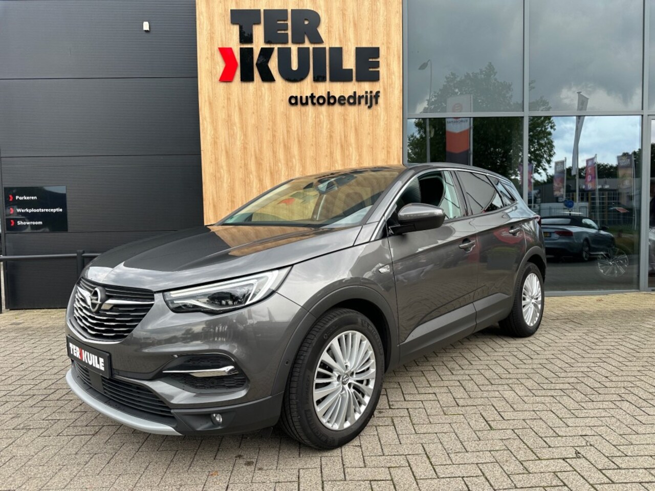 Opel Grandland X - 1.2 Turbo Business Executive / Dealer ond. - AutoWereld.nl