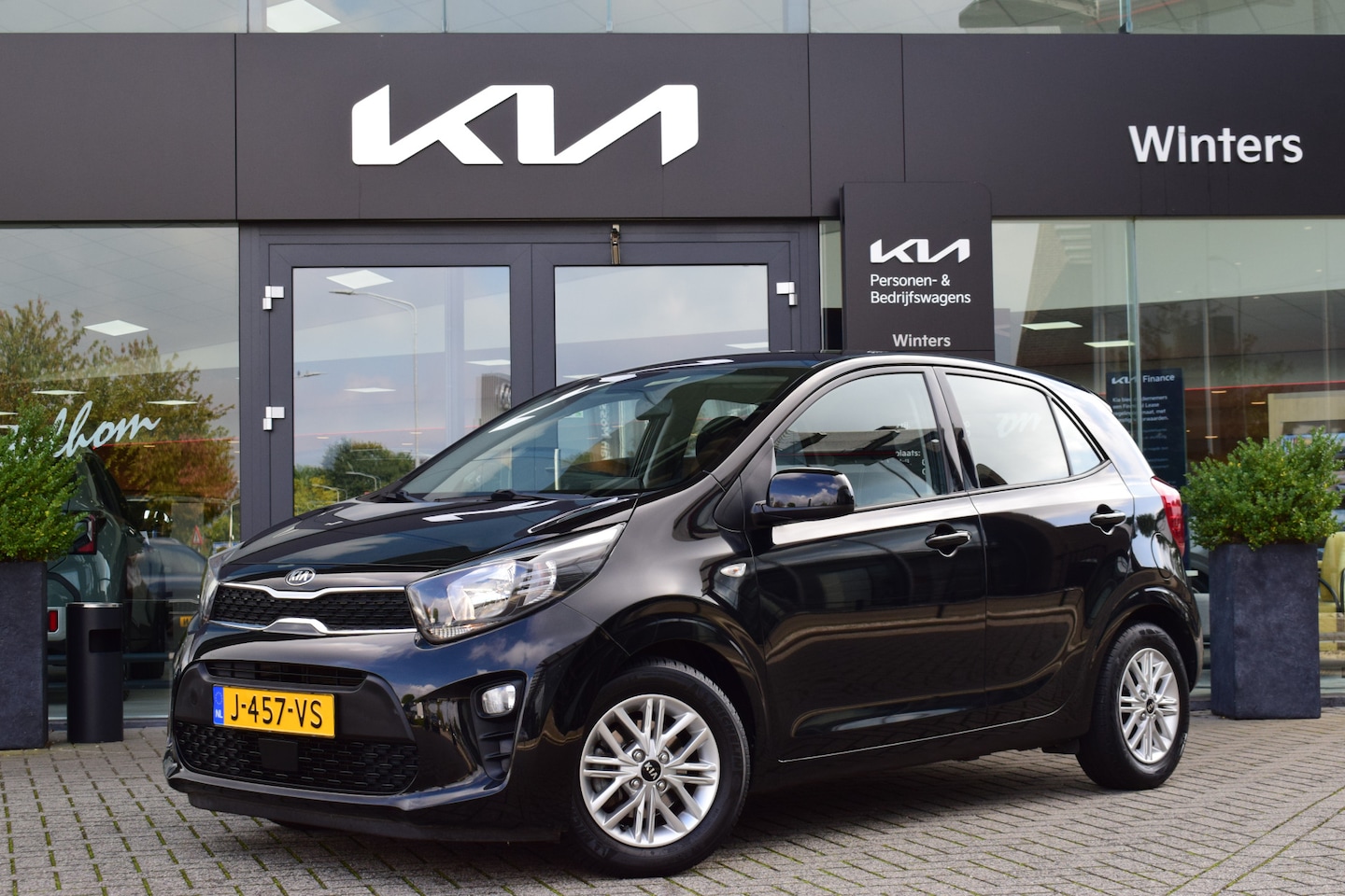 Kia Picanto - 1.0 DPi DynamicLine | Achteruitrijcamera | Cruise Control | Airco | 16" LM velgen | Tot 10 - AutoWereld.nl