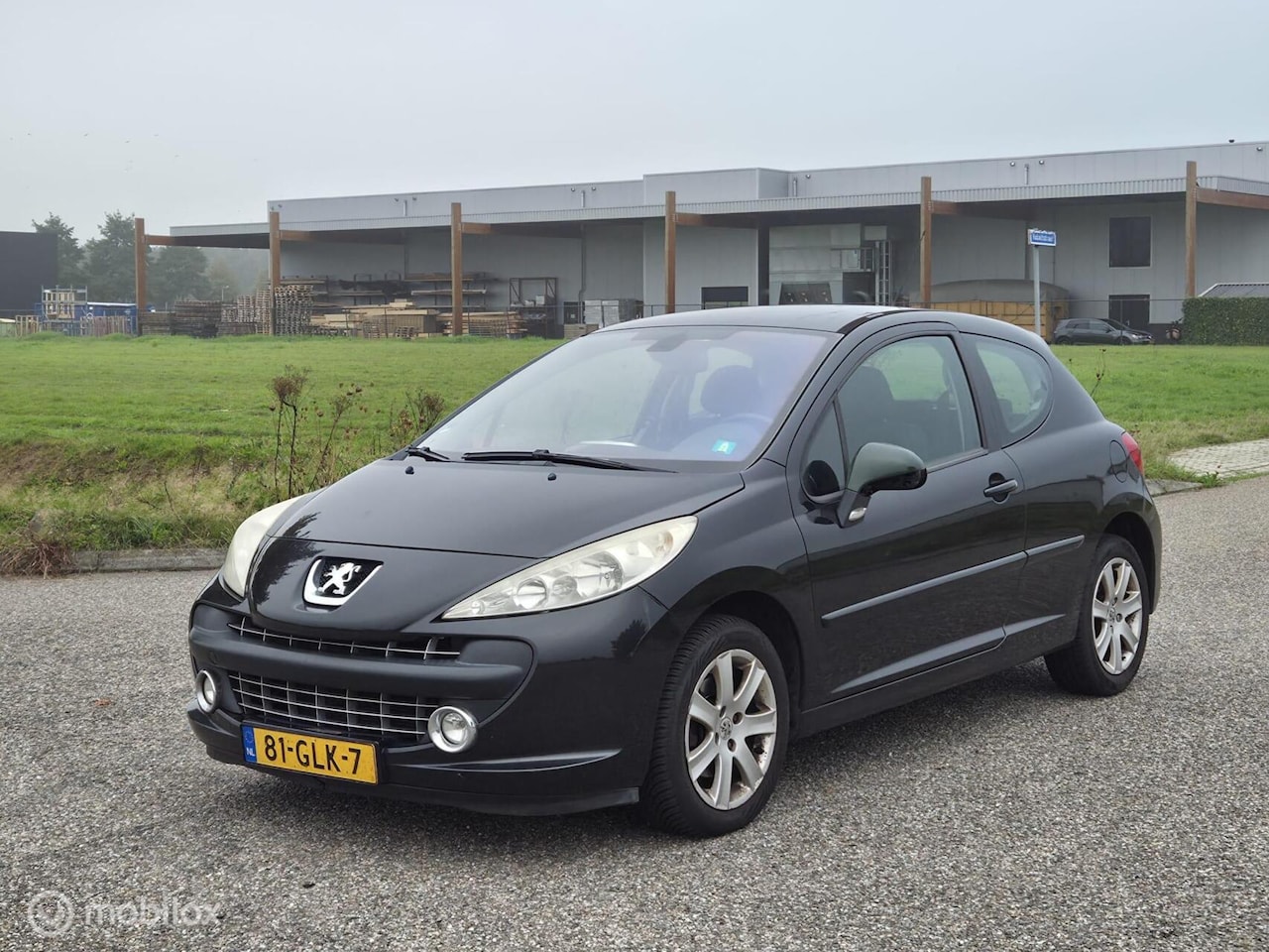 Peugeot 207 - 1.6 VTi XS Pack Airco / Cruise / Apk - AutoWereld.nl