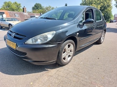 Peugeot 307 - 1.6-16V XS Premium
