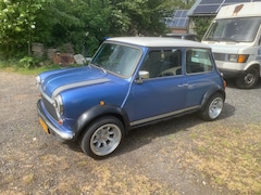 Austin Mini - 1000 Super de Luxe 1300 16v
