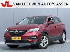 Opel Grandland X - 1.2 Turbo Business Elegance | Nieuw binnen | 360 Camera | Trekhaak |