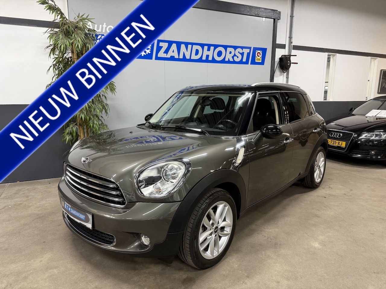 MINI Countryman - 1.6 Cooper Pepper // Autom // Xenon - AutoWereld.nl