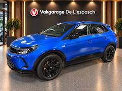 Opel Grandland - 1.6 Turbo Plug-In Hybrid GS Line / 225pk / stuur verwarming / camera / Apple carplay