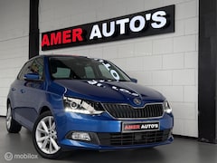 Skoda Fabia - 1.2 TSI JOY/DSG/1e eign./Dealer onderhouden/VOL