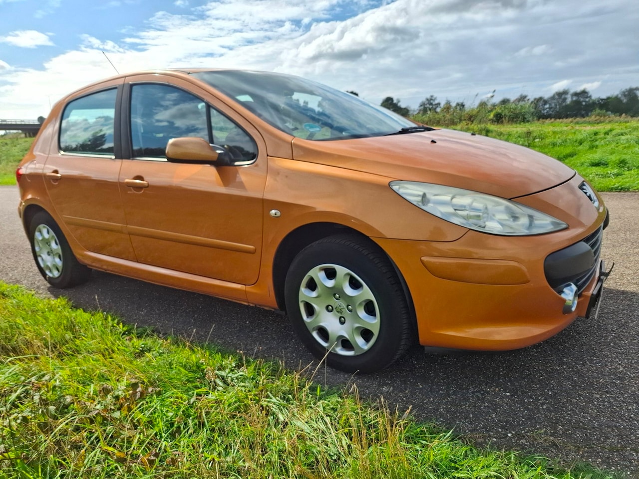 Peugeot 307 - 1.6-16V XS 1.6-16V XS - AutoWereld.nl