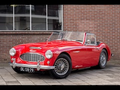 Austin 100-6 - HEALY