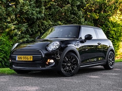 MINI 3-Deurs - 1.5 One D Salt Business