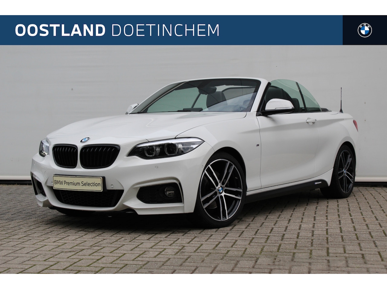BMW 2-serie Cabrio - 220i High Executive M Sport Automaat / Sportstoelen / Achteruitrijcamera / Cruise Control - AutoWereld.nl