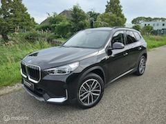 BMW X1 - xDrive25e / Pano / Leder / HUD / HK Audio / Trekhaak