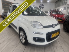 Fiat Panda - 1.2 DYNAMIC | 4-CILINDER |