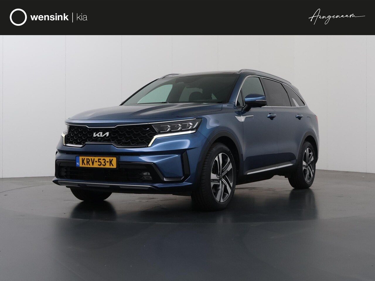 Kia Sorento - 1.6 T-GDI Plug-in Hybrid 4WD ExecutiveLine 7p. | Panoramadak | Luxe Lederen bekleding | El - AutoWereld.nl