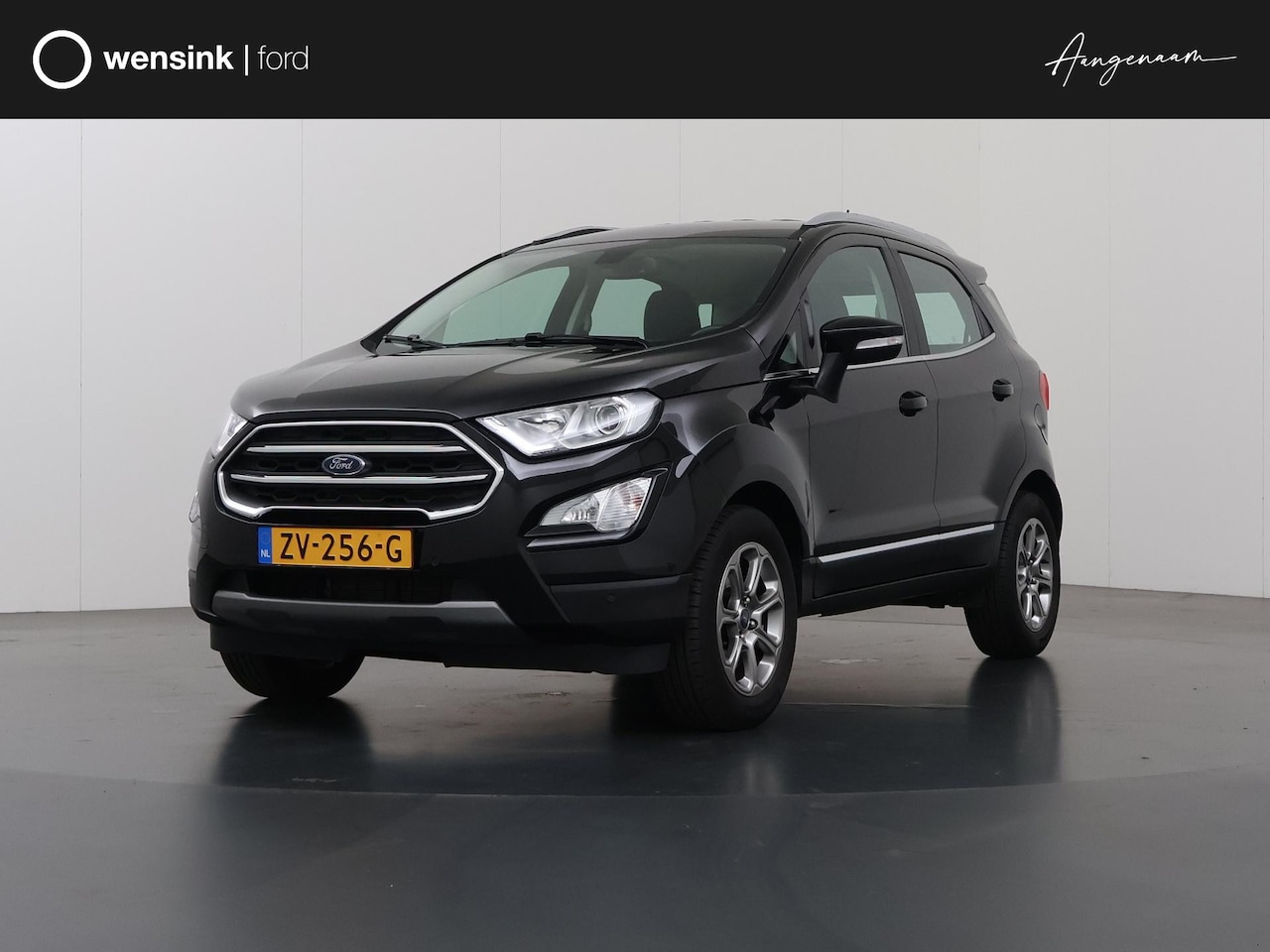 Ford EcoSport - 1.0 EcoBoost Titanium | Winterpakket | Achteruitrijcamera | Trekhaak | B&O Audio | BLIS | - AutoWereld.nl