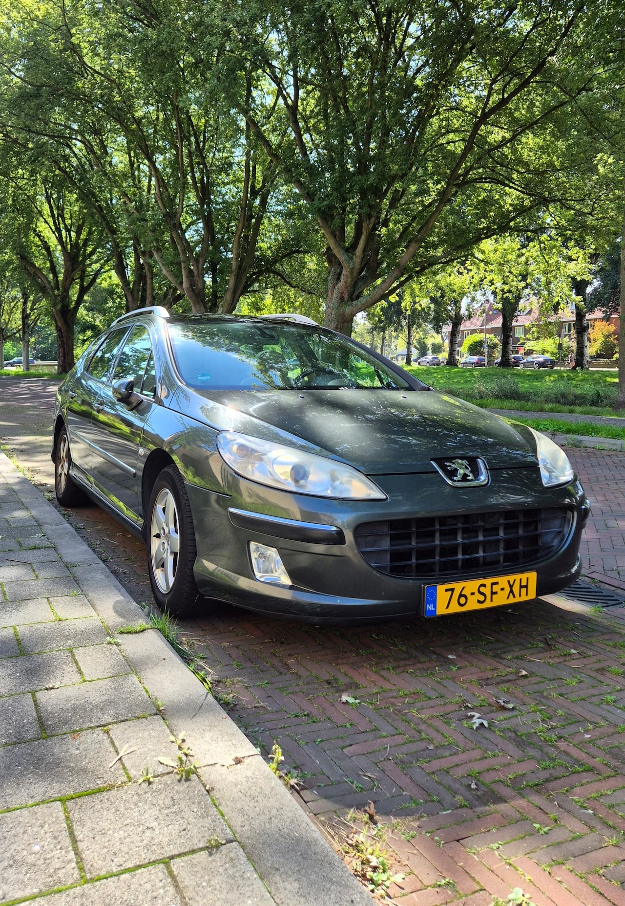 Peugeot 407 SW - 2.0-16V XT - AutoWereld.nl