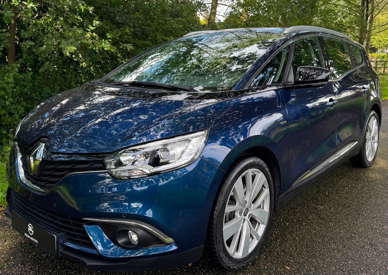 Renault Grand Scénic - 1.3 TCe Limited 2020 7 PERS 140PK NAVI CLIMA - AutoWereld.nl