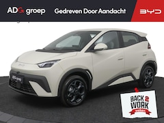 BYD Dolphin Surf - Boost 43 kWh | 322 KM Range | Elektrisch verstelbare voorstoelen ​| Blade Battery| 16″ lic