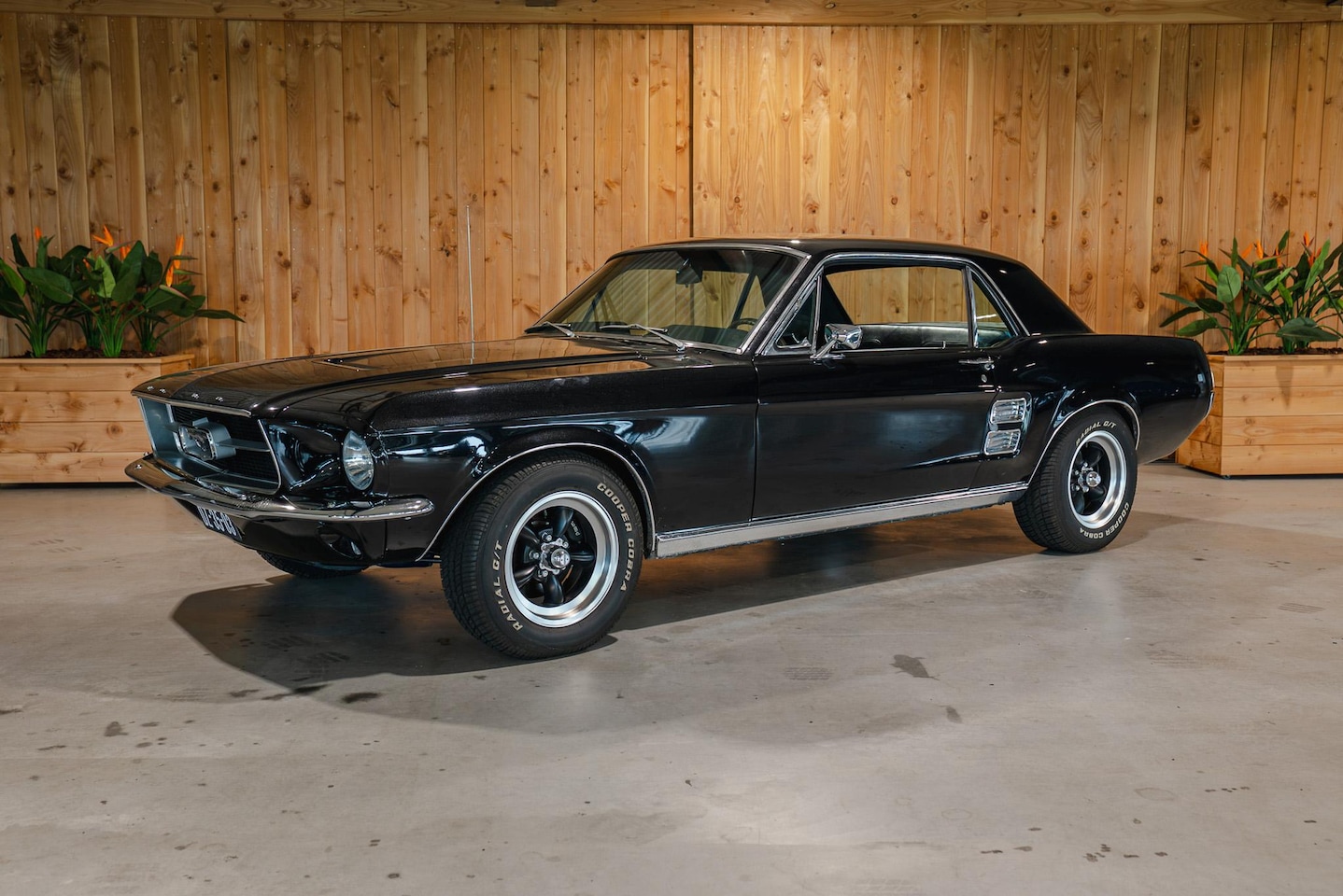 Ford Mustang - GT | Manual | S-Code 390 | - AutoWereld.nl