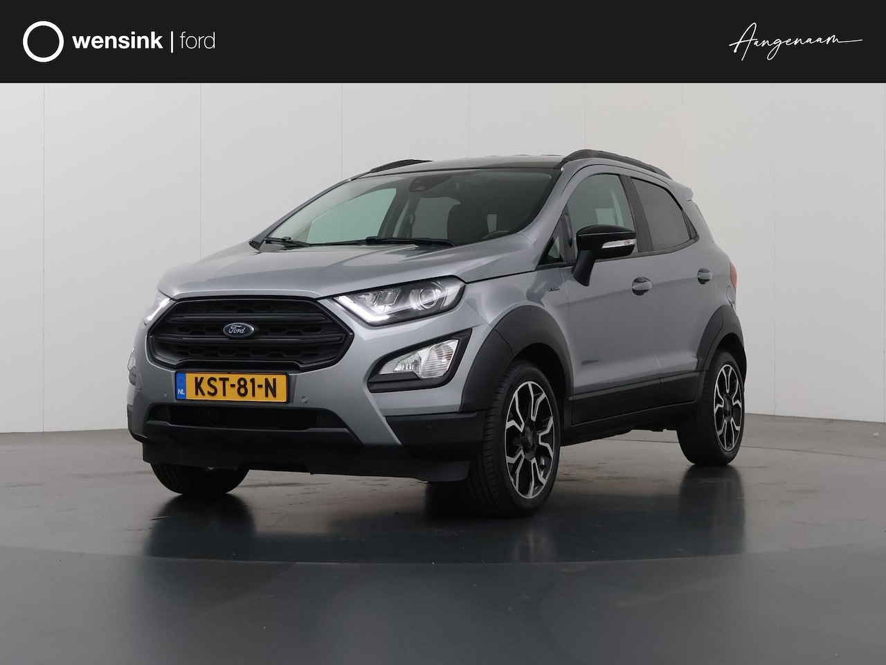 Ford EcoSport - 1.0 EcoBoost Active | Navigatie | Achteruitrijcamera | B&O Audio | Winterpakket | Lederen - AutoWereld.nl