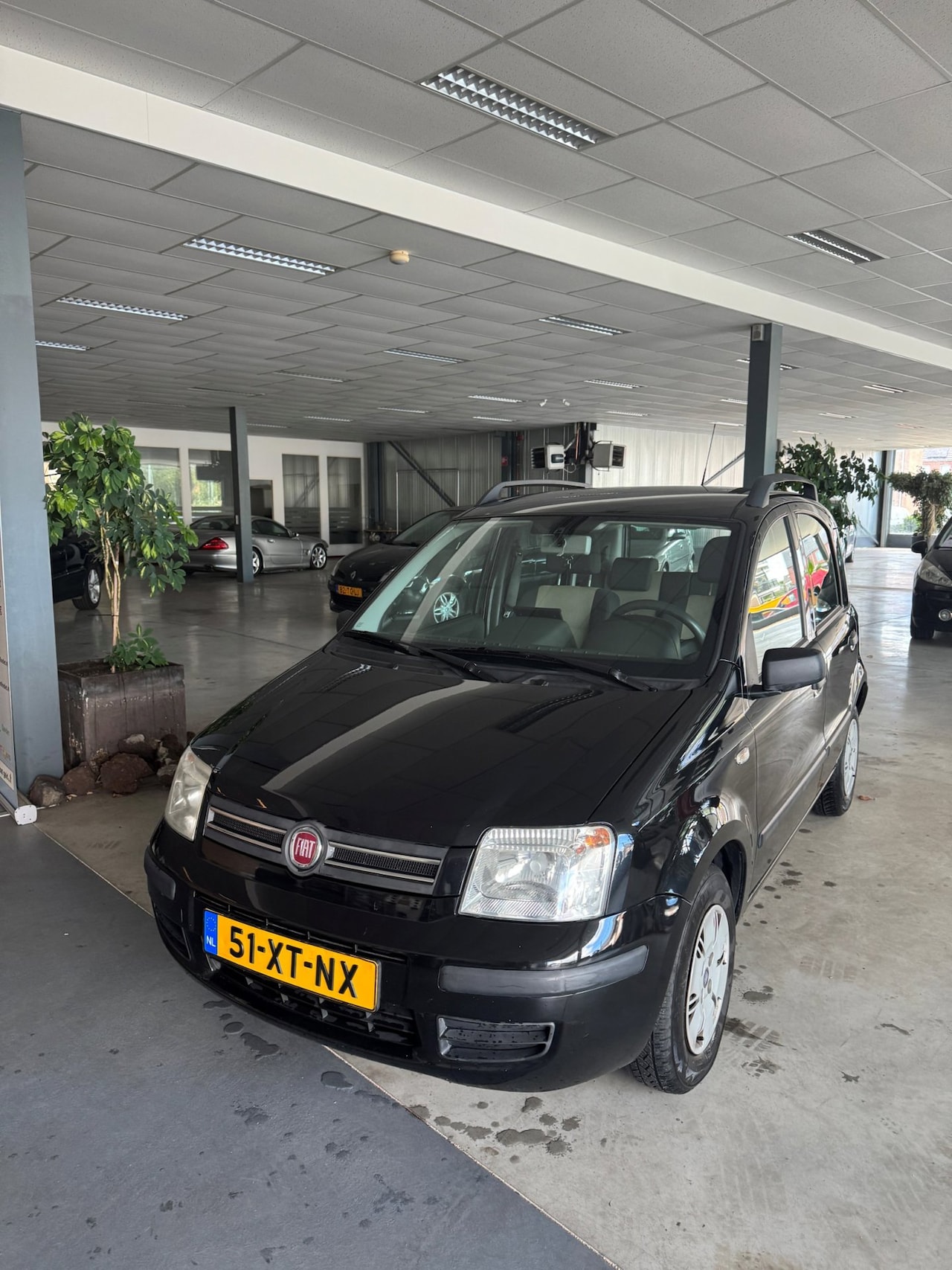 Fiat Panda - 1.2 Edizione Cool 1.2 Edizione Cool - AutoWereld.nl