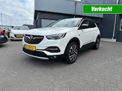 Opel Grandland X - 1.2 Turbi Innovation Camera Trekhaak