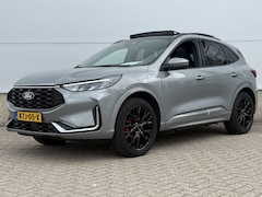 Ford Kuga - Plug-In Hybrid ST-Line X TREKHAAK PANODAK WINTERPACK