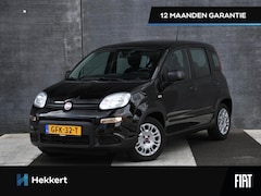 Fiat Panda - Urban 1.0 Hybrid 70pk PDC ACHTER | DAB RADIO | AIRCO | 14'' | CITY DRIVING MODE