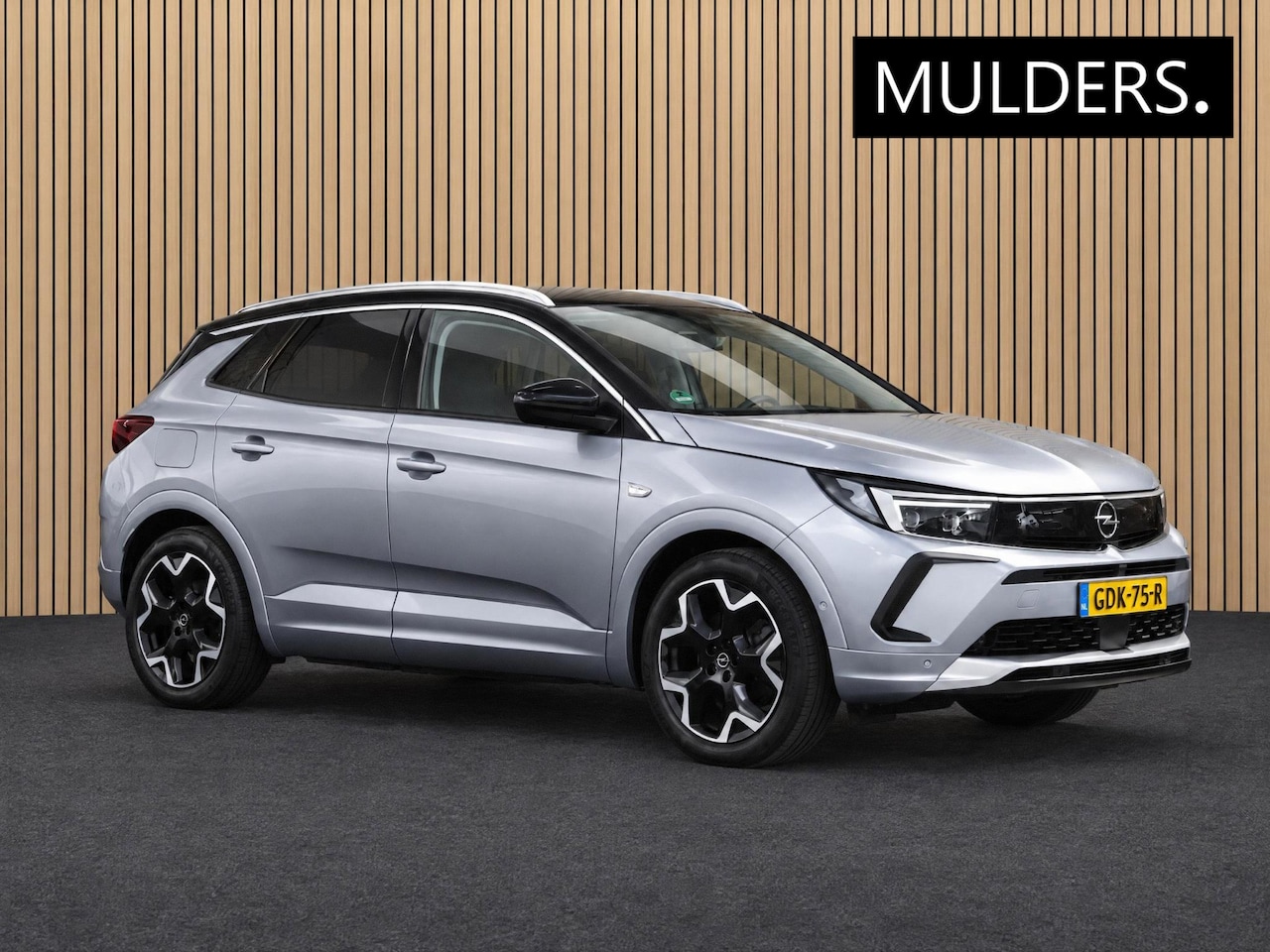 Opel Grandland - 1.6 Turbo Plug-In Hybrid 4x4 Business Elegance NAVI / CAMERA / TREKHAAK - AutoWereld.nl