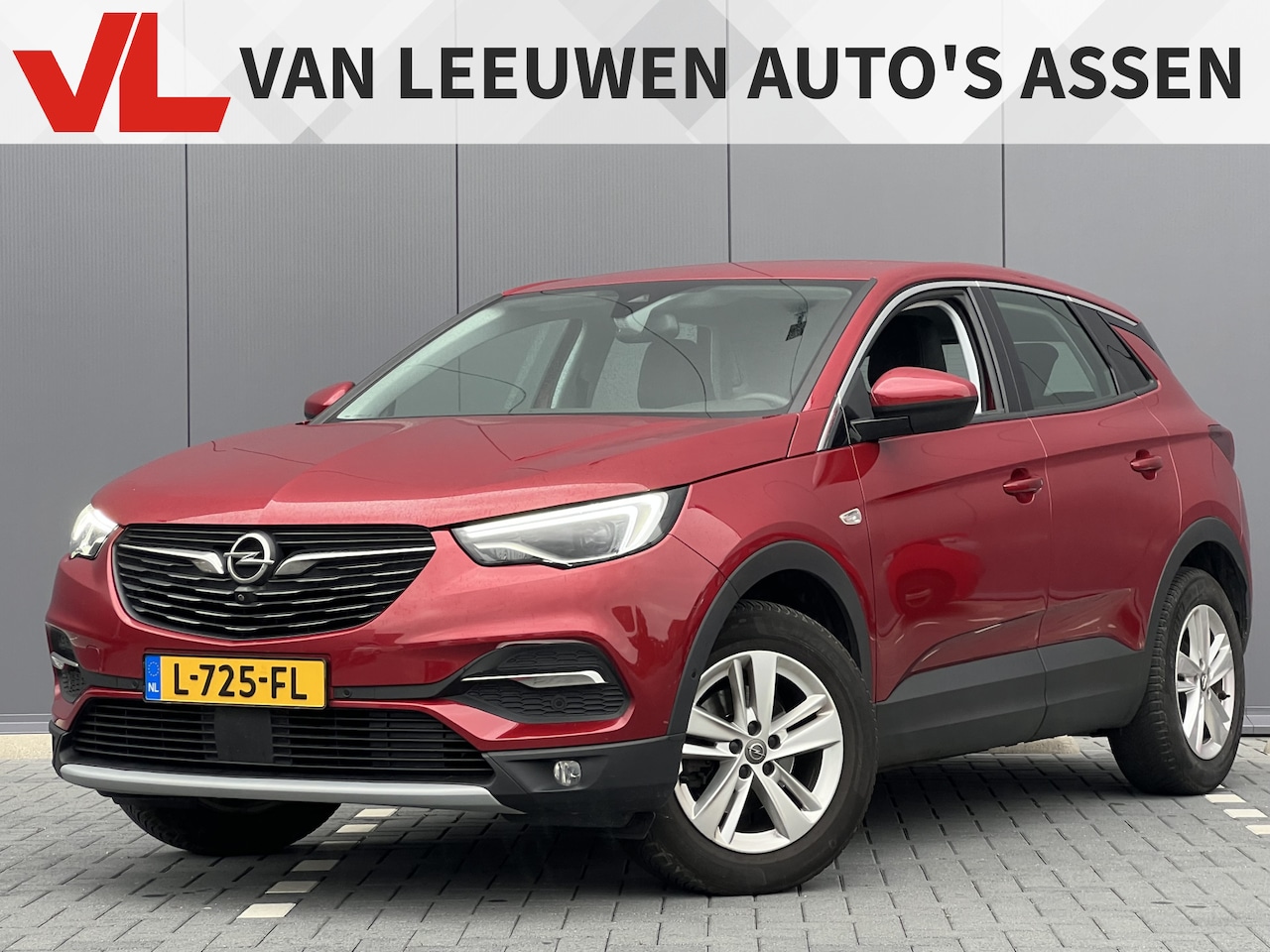 Opel Grandland X - 1.2 Turbo Business Elegance | RIJKLAAR | 360 Camera | Trekhaak | - AutoWereld.nl