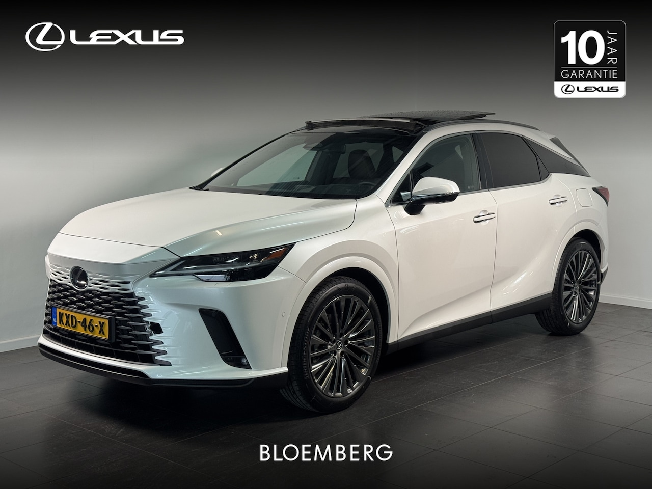 Lexus RX 450h - 450h+ Plug-in Hybrid President Line Limited | Schuif-/kanteldak | Nieuwe auto | - AutoWereld.nl